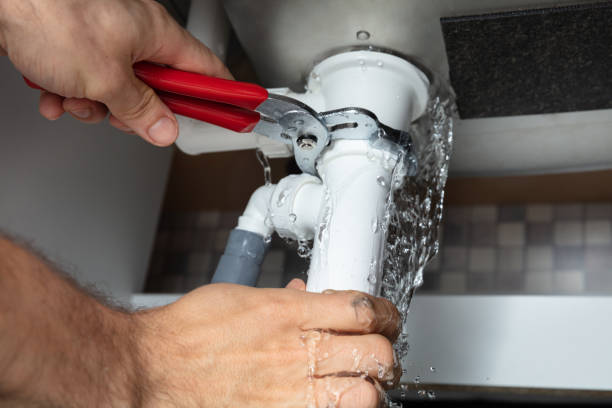 Best Water damage cleanup near me  in Red Lake, AZ