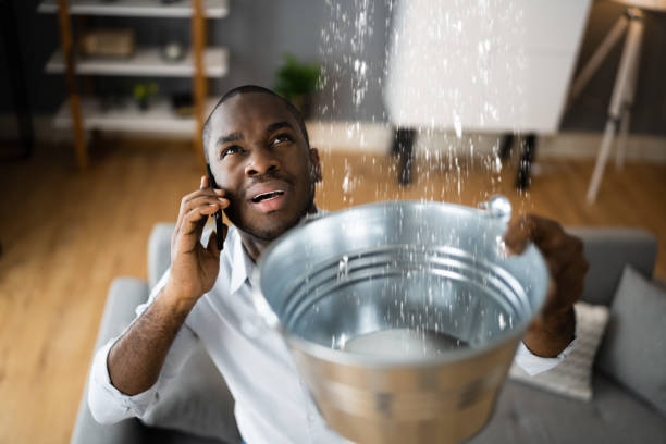 Best Flood restoration services  in Red Lake, AZ