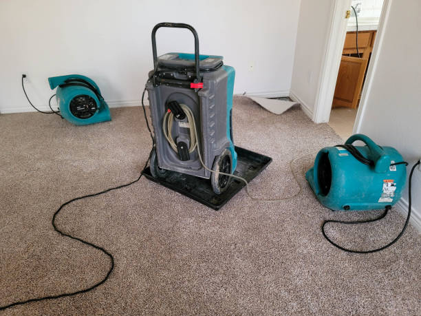 Best 24-hour water damage restoration  in Red Lake, AZ