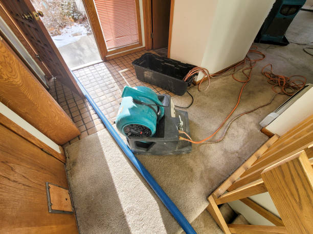 Best Fire Damage Restoration  in Red Lake, AZ