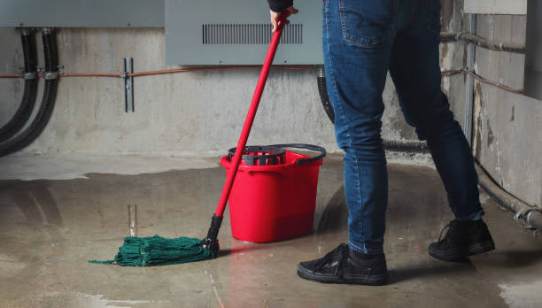 Best Water damage restoration experts  in Red Lake, AZ