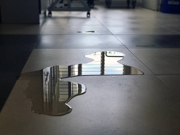 Best Water damage restoration near me  in Red Lake, AZ