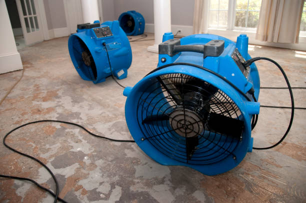 Best Water damage restoration near me  in Red Lake, AZ