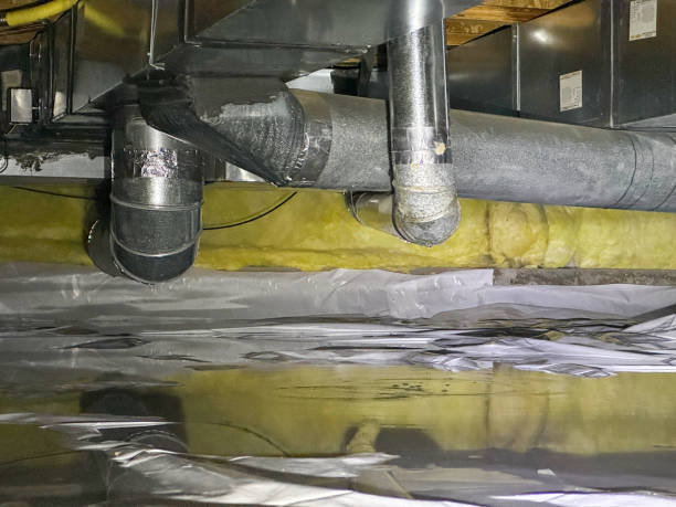 Best Carpet water damage restoration  in Red Lake, AZ