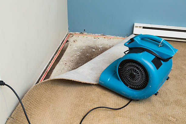 Best Emergency water damage restoration  in Red Lake, AZ