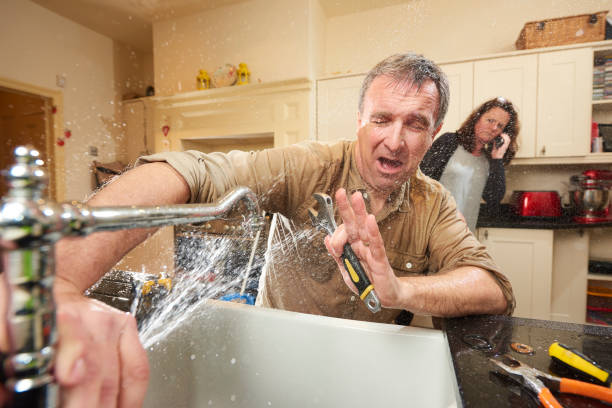 Best Mold removal after water damage  in Red Lake, AZ